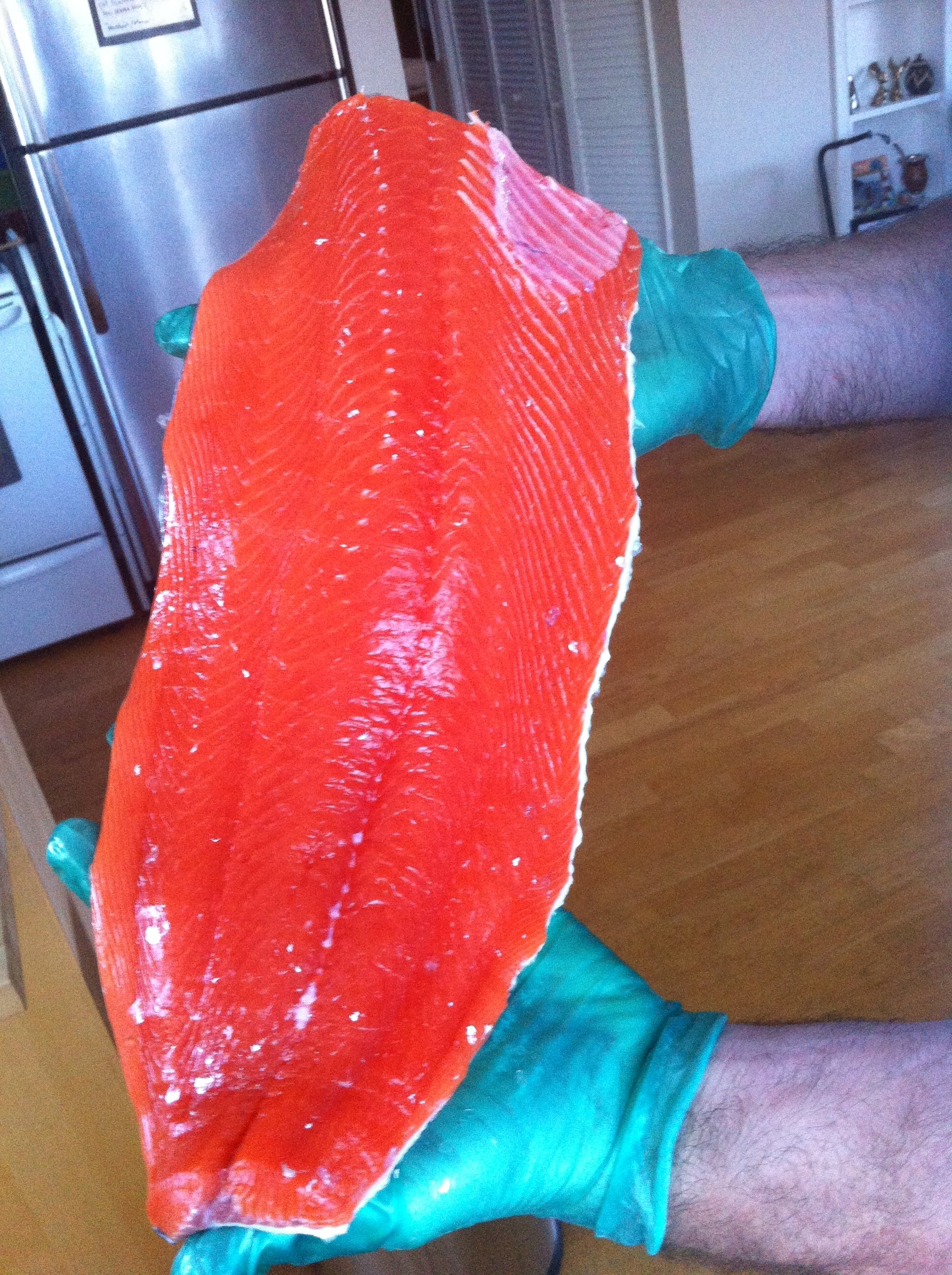 Fresh caught Salmon